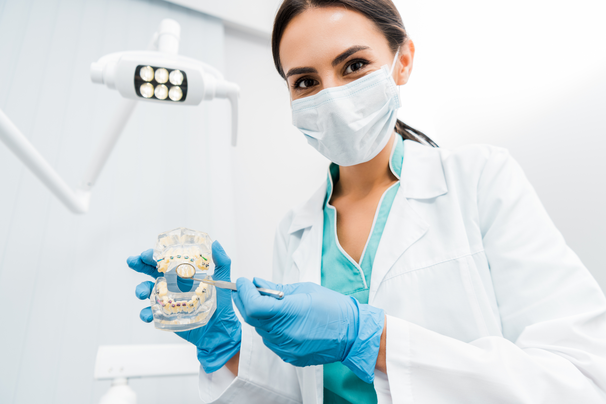 dentist holding replica of teeth